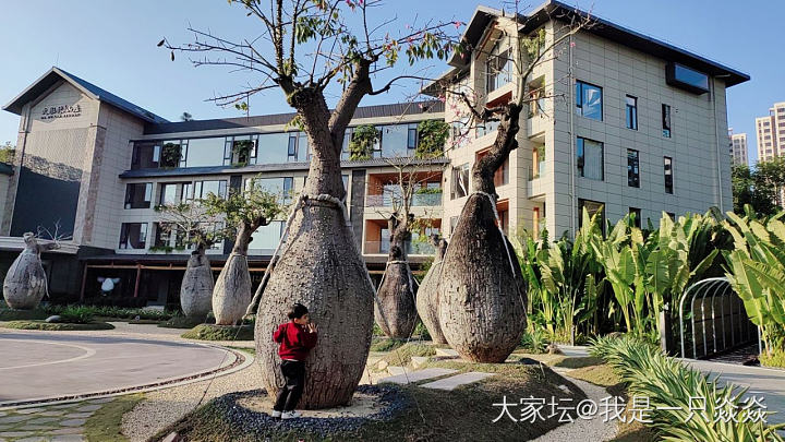 2025年，祝各位姐妹，当头鸿运，锦鲤附体。_闲聊