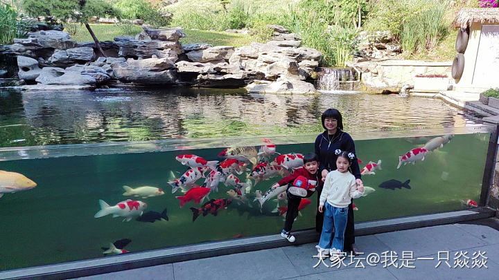 2025年，祝各位姐妹，当头鸿运，锦鲤附体。_闲聊