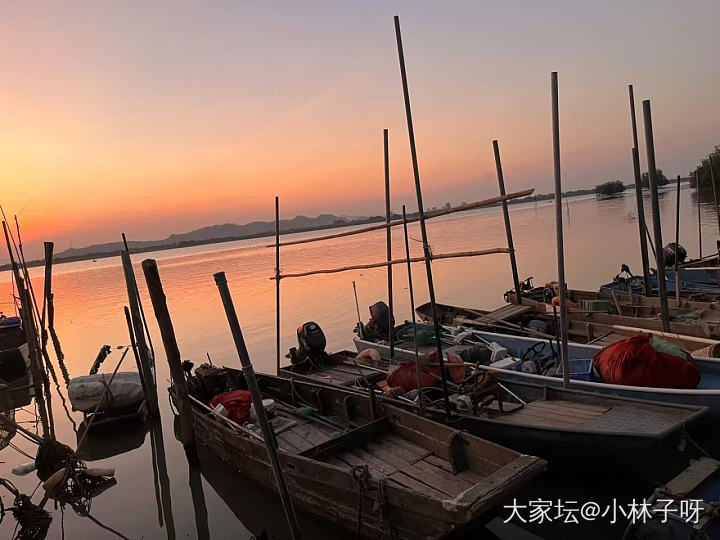 2024年收集的落日瞬间_景色