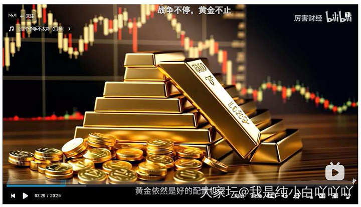 昨晚睡前看了个财经博主关于黄金的去年总结和新年分析，今早摸鱼截图出来了_金