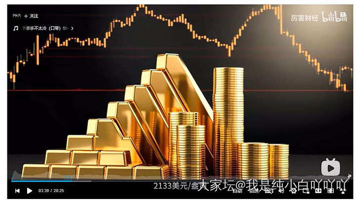 昨晚睡前看了个财经博主关于黄金的去年总结和新年分析，今早摸鱼截图出来了_金