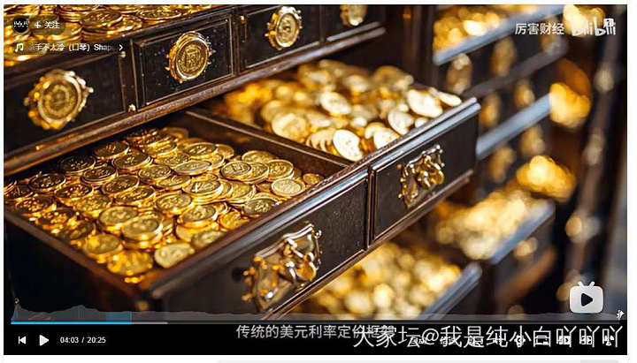 昨晚睡前看了个财经博主关于黄金的去年总结和新年分析，今早摸鱼截图出来了_金