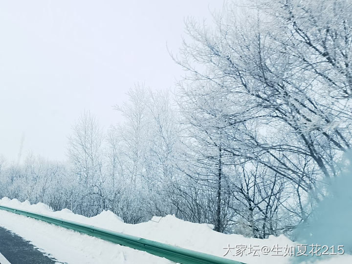 雾凇雪景_景色