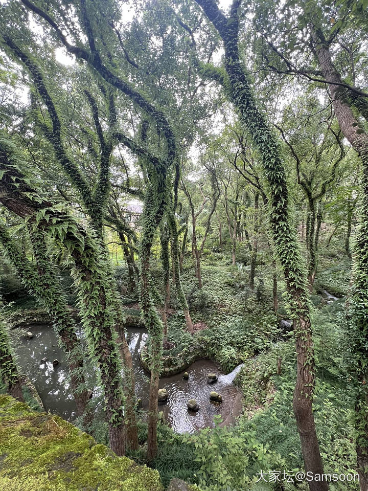 打算去南京过除夕_旅游