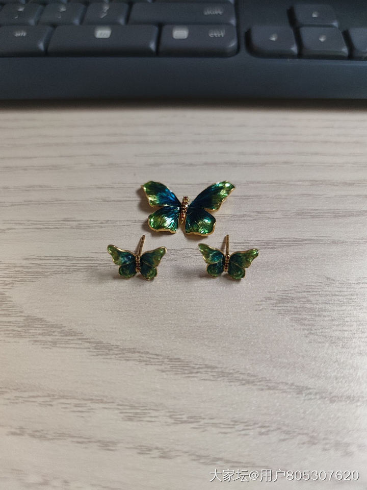 蝴蝶真好看啊_福利社金
