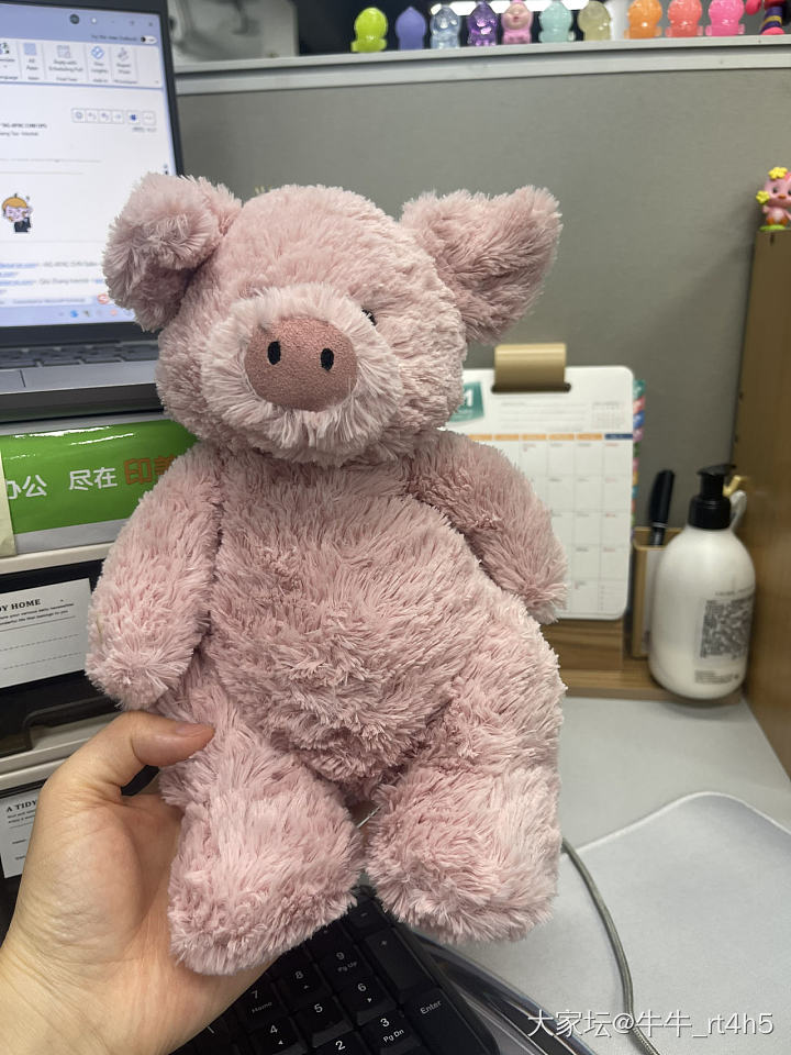 不买黄金后，我的钱在这里_玩具