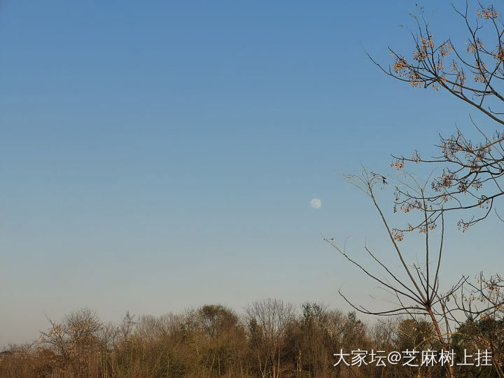 月亮上班好早_闲聊