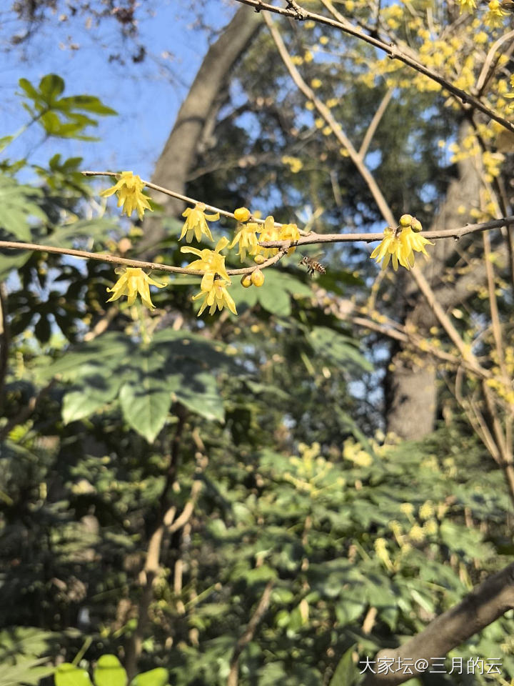 发现一个崩溃的事_植物