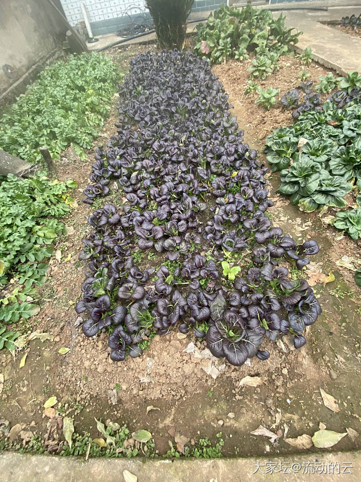 信息不对称_闲聊