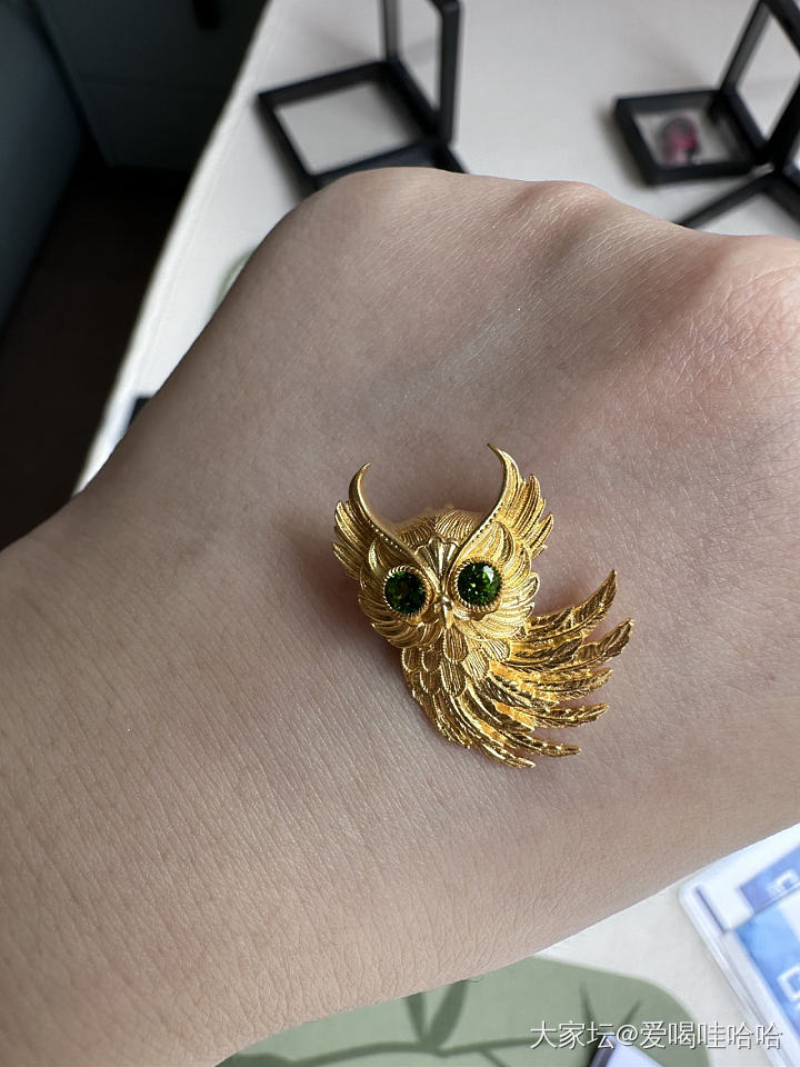 入金坑两年赶上高价了_金