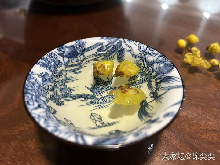 腊梅自由了！还发了条精装的盆友圈哈哈哈_花