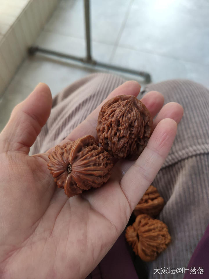 周末，发个贴，核桃啦_文玩