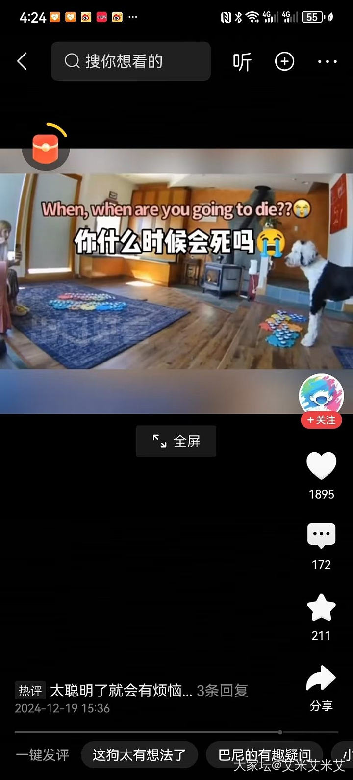 猫猫抗癌记录_猫