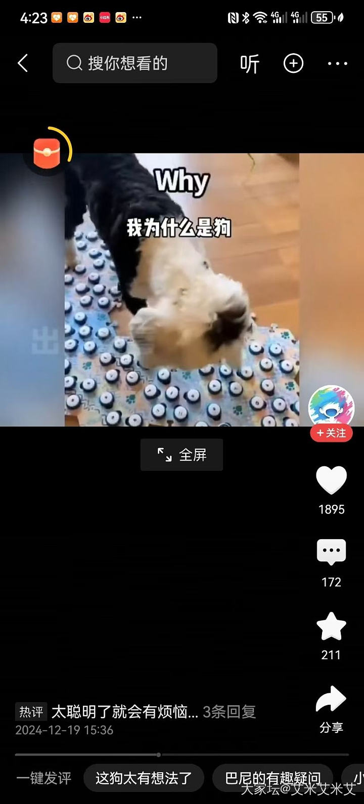 猫猫抗癌记录_猫