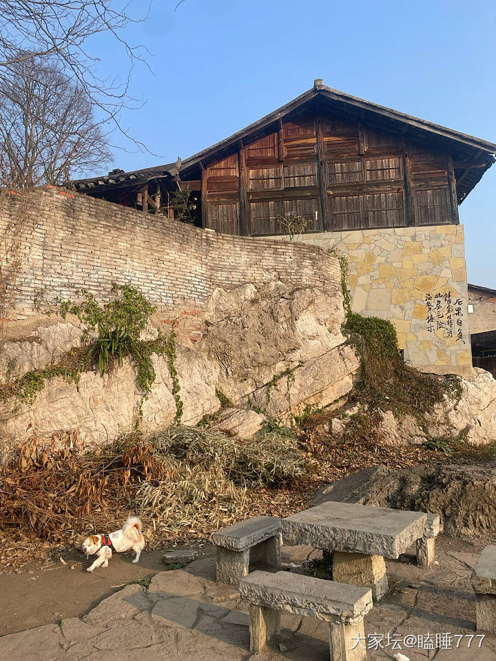 青岩古镇一日游记_旅游