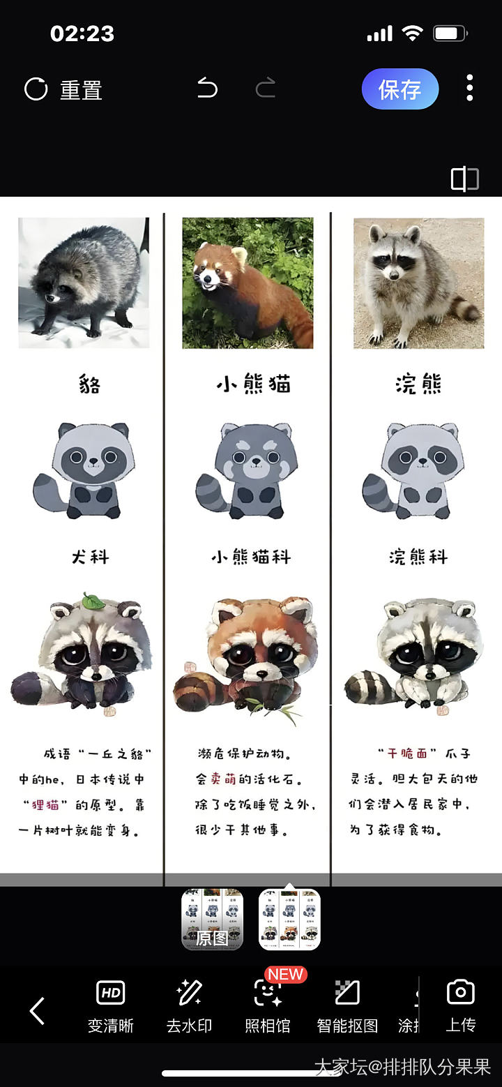 猜猜这个胖子是啥？_宠物