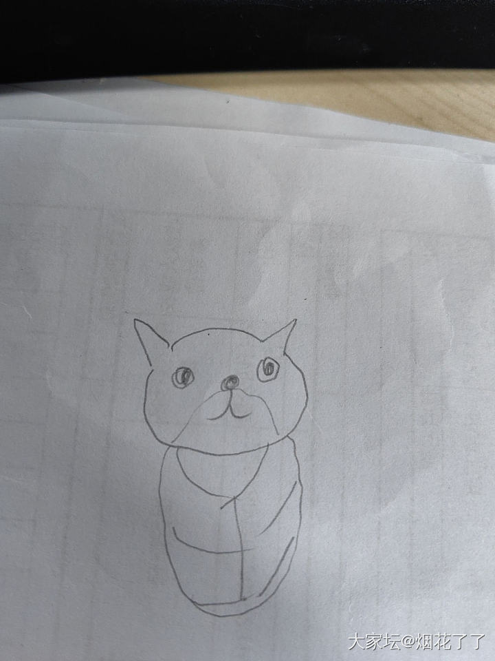 多年前的手艺不能丢_闲聊宠物猫