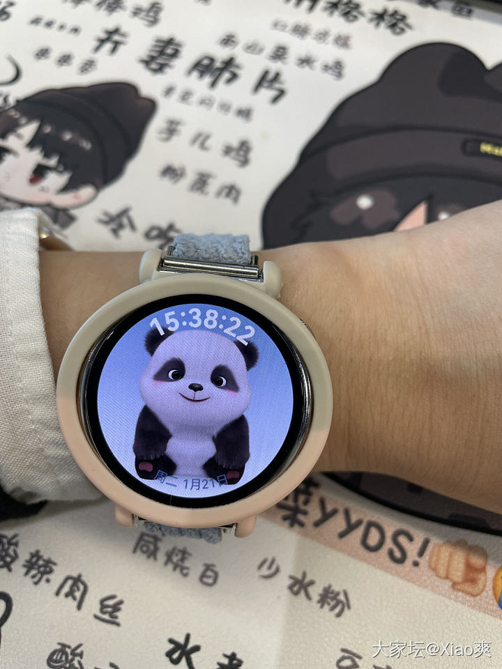 可爱的小熊猫😁_数码闲聊