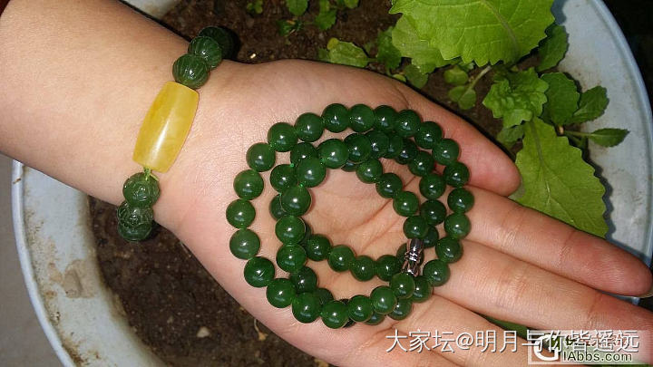 请教肉料是啥意思_玉石