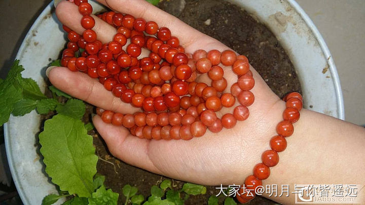 请教肉料是啥意思_玉石