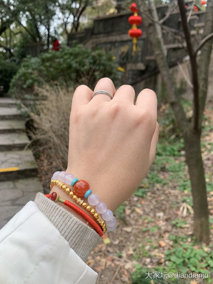 带娃到鼋头渚喂红嘴鸥，吹吹太湖的风_旅游