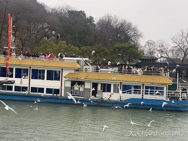 带娃到鼋头渚喂红嘴鸥，吹吹太湖的风_旅游