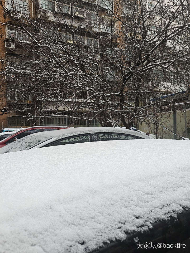 可怜的小雪_闲聊