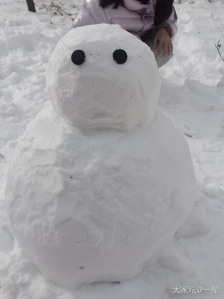 可怜的小雪_闲聊