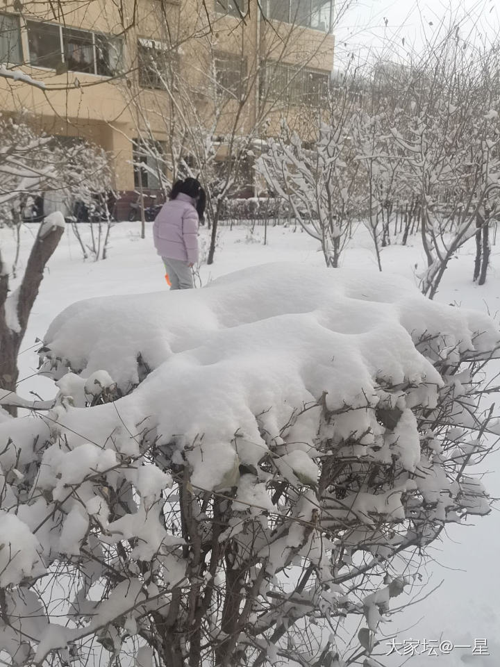 可怜的小雪_闲聊