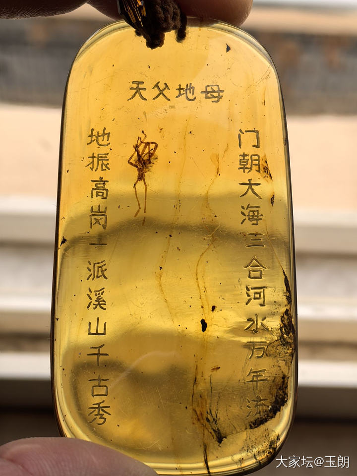 这是什么虫虫_琥珀蜜蜡