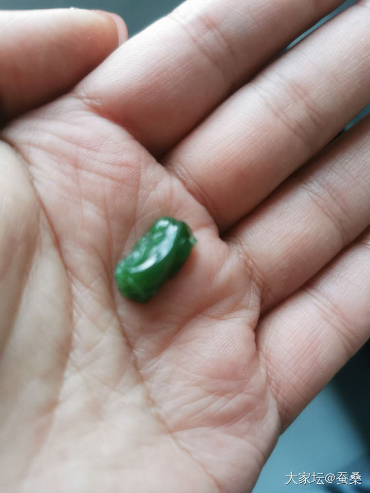 送点小东西（别给我打广告标签删不了）_赠送