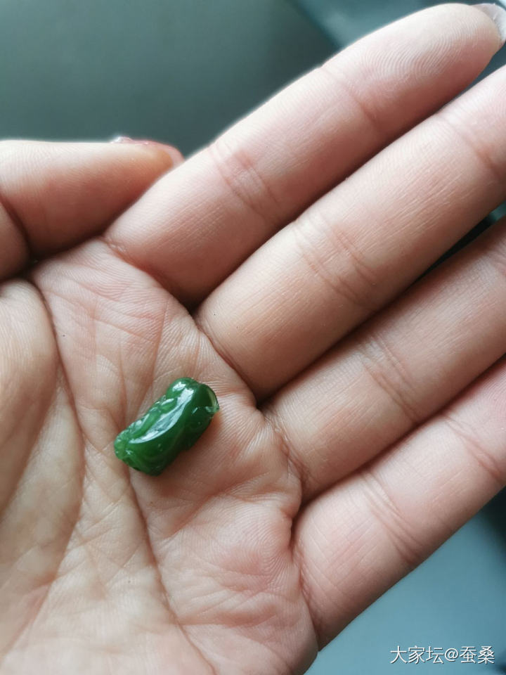 送点小东西（别给我打广告标签删不了）_赠送