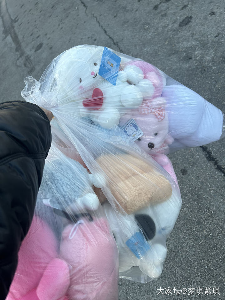 🥳今日抓娃娃🧸战绩～27只～打道回府～_闲聊