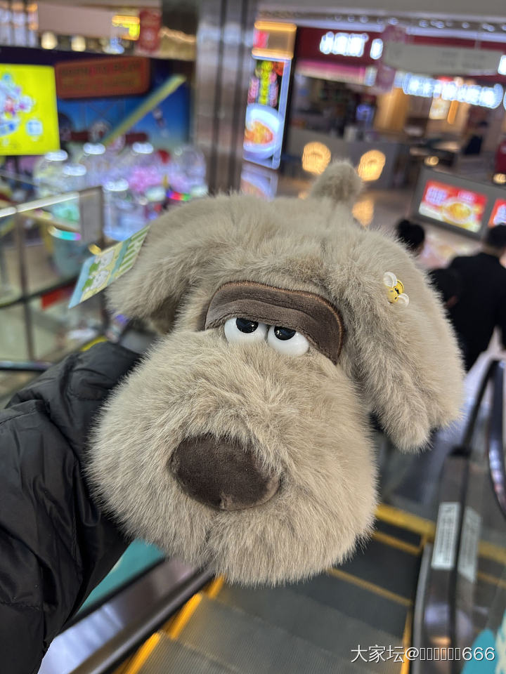 🥳今日抓娃娃🧸战绩～27只～打道回府～_闲聊