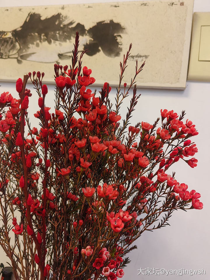 新年快乐啊！_节日