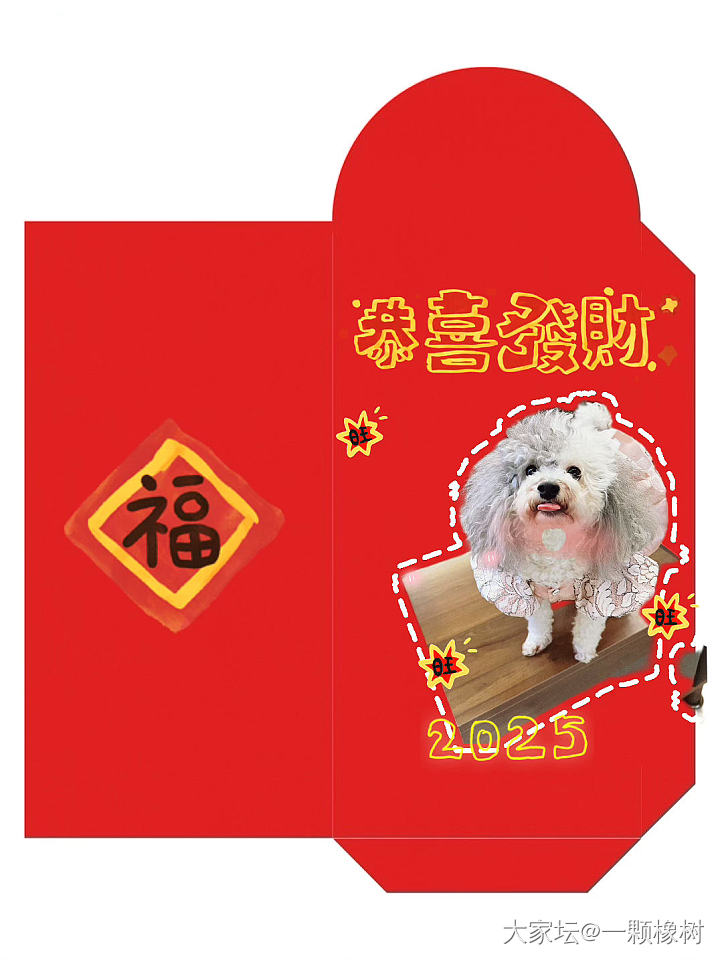 给姨姨、姐姐们拜年啦_狗