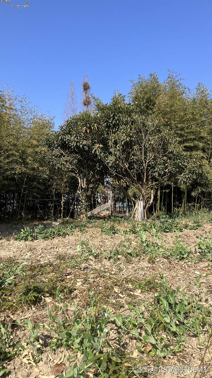 最后的乡下老家_景色