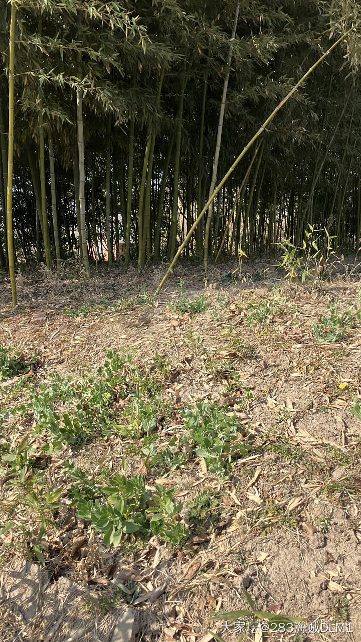最后的乡下老家_景色