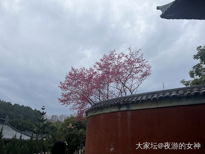 值班装备_首饰