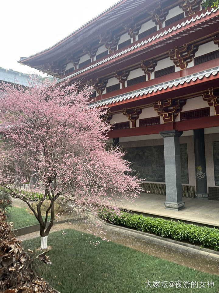 值班装备_首饰