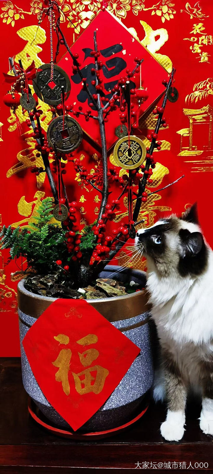 迎财神_节日