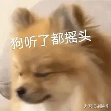 DeepSeek绝对100%是国产AI，不是套壳的_闲聊