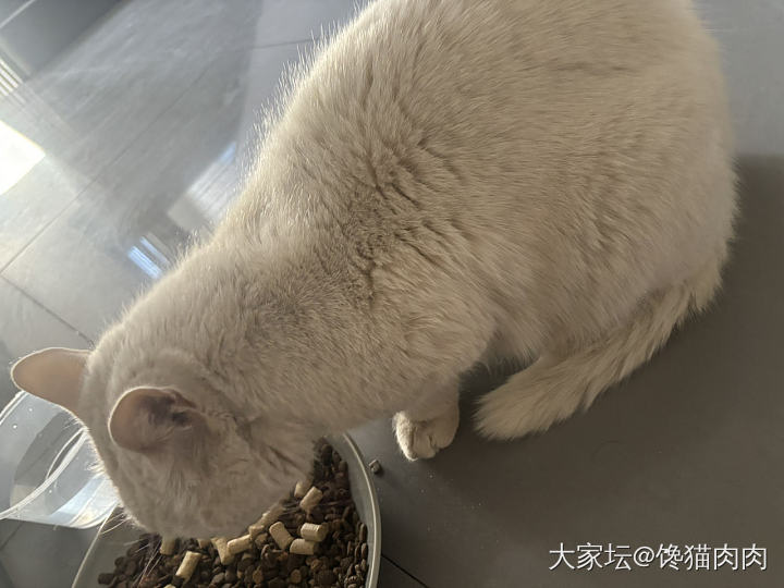 楼道里的小流浪_闲聊