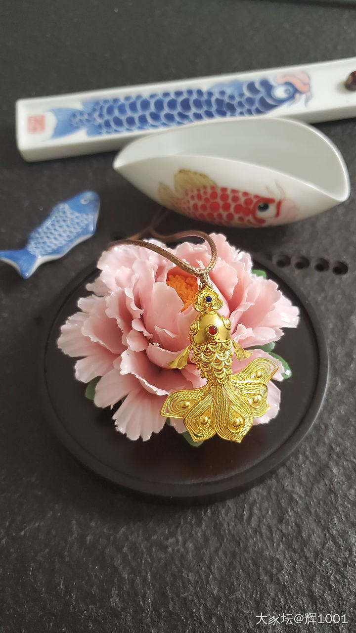一条大尾巴鱼！_金