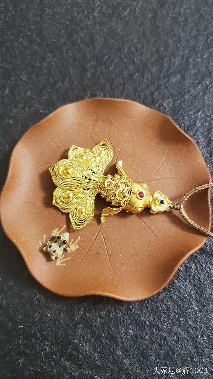 一条大尾巴鱼！_金