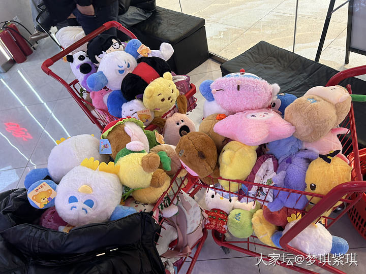 🤣三车会师～最近所有娃娃店抓遍了……_闲聊