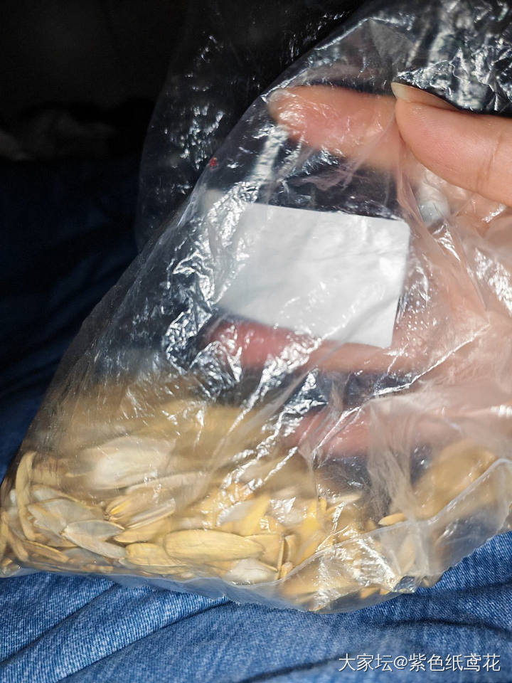 嗑瓜子嗑到流鼻血_闲聊