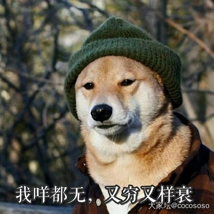 今天是小门小户晒金日_金