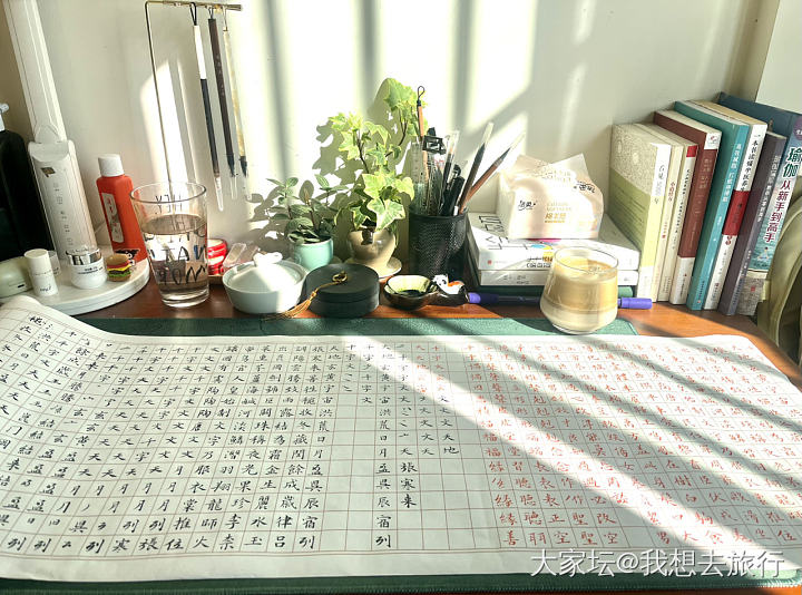 宅家自娱自乐_翡翠