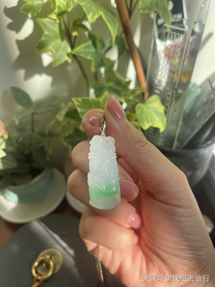 宅家自娱自乐_翡翠